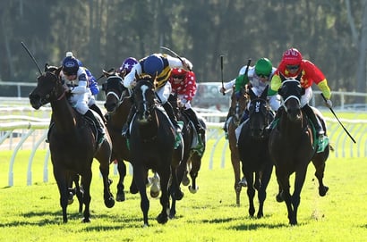 Queensland Derby 2026 Betting Odds - Monopolistic and Solid Gold Share Favouritism