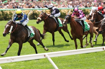 QLD Derby tips