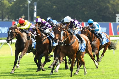 Queensland Oaks 2025 - Barrier Draw & Final Field