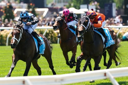 QLD Oaks Field