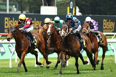 QLD Oaks Odds