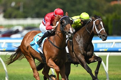 QLD Oaks Tips