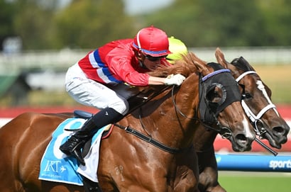 Queensland Oaks 2025 Betting Odds - Philia heads the early market