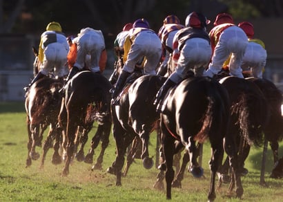 Qld Horse Racing