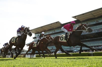 Queen Of The Turf Stakes 2025 Betting Odds - Fangirl leads the early market