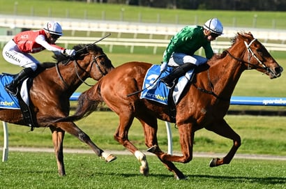 Catterick Bridge Horse Racing Odds - Get the favourites’ odds for Tuesday, 4 August