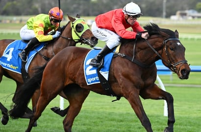 Racing at Greyville