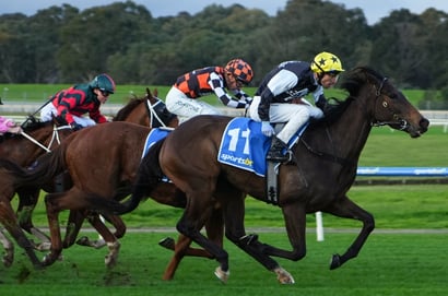Racing at Greyville