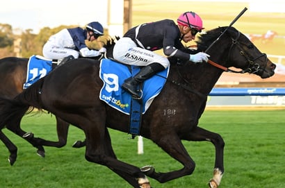Racing at Vaal