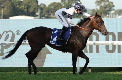 Railway Stakes 2025 - Barrier Draw & Final Field