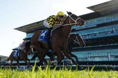 Randwick Blackbookers - Saturday, August 23