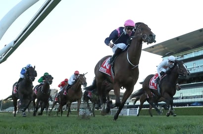 Randwick Blackbookers