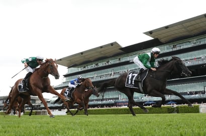 Randwick Blackbookers