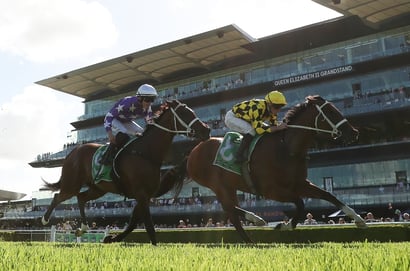 Randwick Blackbookers