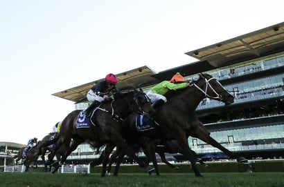 Randwick Blackbookers