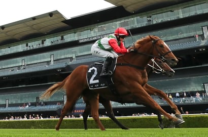 Randwick Blackbookers and horses to follow from May 23