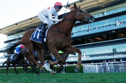 Randwick Blackbookers