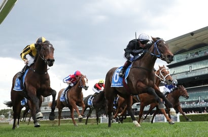 Randwick Blackbookers