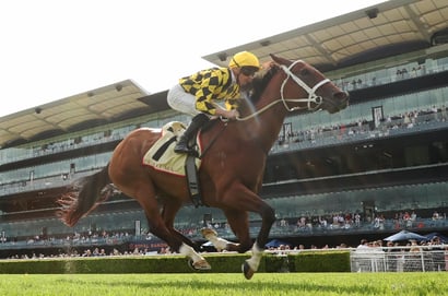 Randwick Fields
