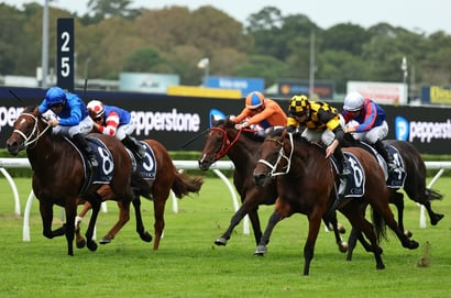 Randwick Guineas Day 2026 - Sydney Photo Gallery
