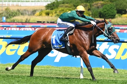 Randwick Guineas tips