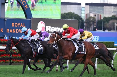 Randwick Horse Racing