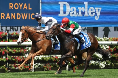 Randwick Horse Racing