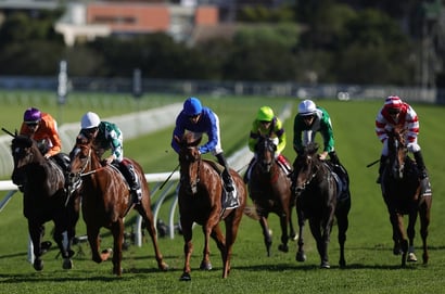 Randwick Horse Racing