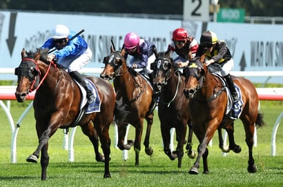 Randwick Horse Racing
