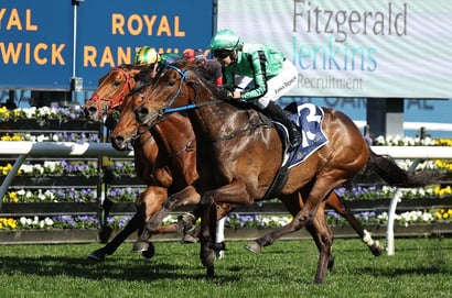 Randwick Horse Racing