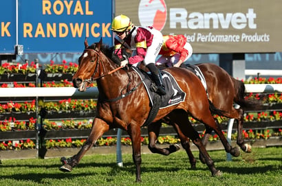 Randwick Horse Racing