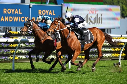 Randwick Horse Racing