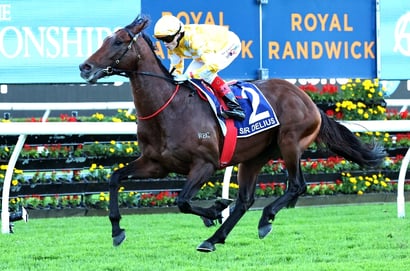 Randwick Horse Racing