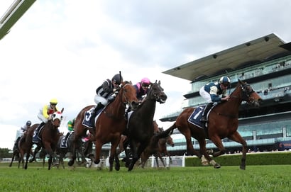 Randwick Horse Racing