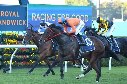 Randwick Horse Racing