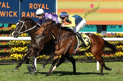 Randwick Horse Racing