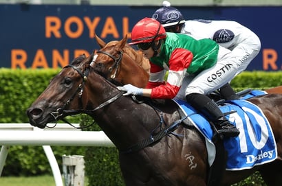 Randwick Horse Racing