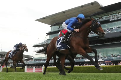 Randwick Horse Racing