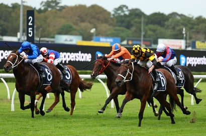 Randwick Horse Racing