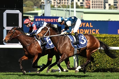Randwick Horse Racing