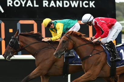Randwick Horse Racing