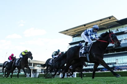Randwick Horse Racing