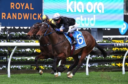 Randwick Horse Racing