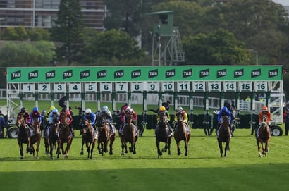 Randwick Horse Racing