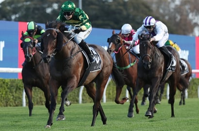 Randwick Horse Racing