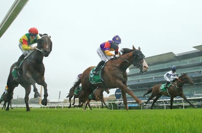 Randwick-Kensington Tips for 26.03.2025