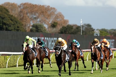 Randwick-Kensington tips for 01.07.2026