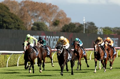 Randwick-Kensington Betting Tips for September 9, 2026 - Low Key Ready to Make Noise