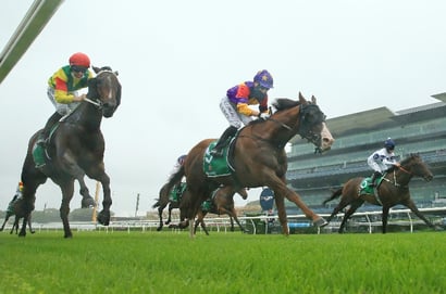 Randwick-Kensington Betting Tips for August 13, 2025 - One better for Tazima