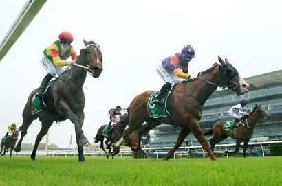 Randwick-Kensington tips for 21.01.2026